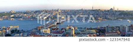 Istanbul panorama 123347948