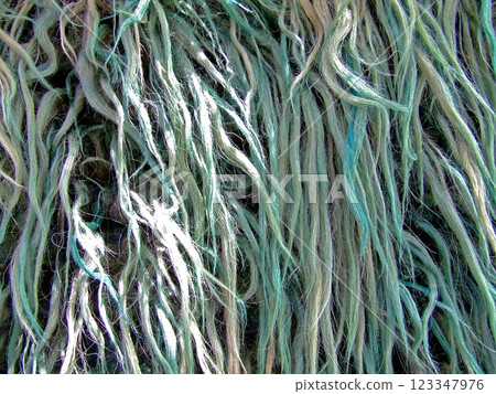 Fur texture detail 123347976