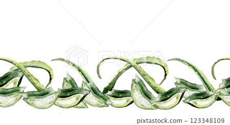 cut aloe vera seamless border cut aloe vera seamless border 123348109