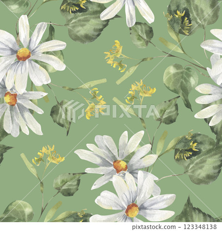 Floral seamless pattern with white field chamomile flowers and forest linden branches on green. Hand drawn rustic background, botanical eco clipart for home textile Provence print, fabric, web design. 123348138