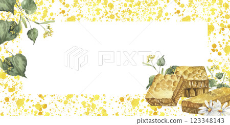 Organic food and ingredient banner template with watercolor honeycombs linden branches and daisy flowers illustrations. Field flowers chamomile with sweet honey on yellow splashes frame for packing 123348143