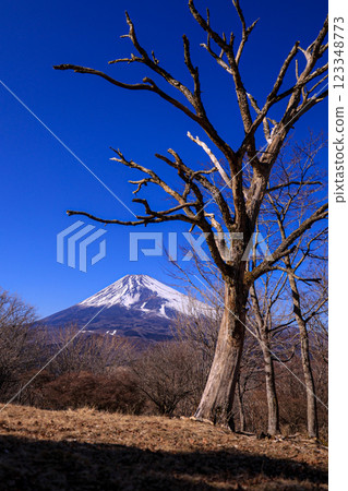 Mount Fuji Mount Fuji 123348773
