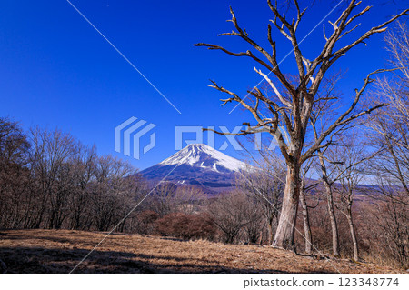 Mount Fuji Mount Fuji 123348774