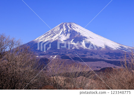 Mount Fuji Mount Fuji 123348775