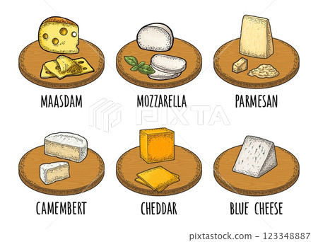 Cheese maasdam, mozzarella, cheddar, parmesan, camembert on wood board. Vector engraving Cheese maasdam, mozzarella, cheddar, parmesan, camembert on wood board. Vector engraving 123348887