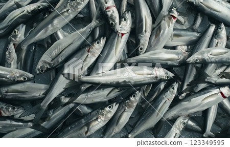 pile of freshly caught silver fish on ice at the market, texture of seafood background, freshness and the ocean's bounty creative backdrop 123349595
