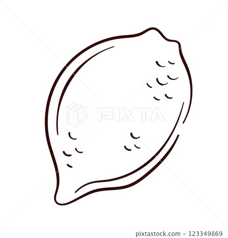 Whole lemon with textured peel in line art style. Hand drawn illustration for botanical design, food packaging and citrus themed project. Isolated on a white background. 123349869