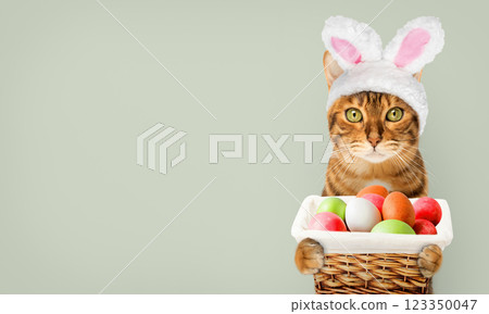 Easter cat with rabbit ears holding a basket with eggs. 123350047