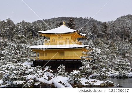 白雪皚皚的京都金閣寺 白雪皚皚的京都金閣寺 123350057