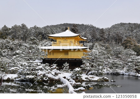 白雪皚皚的京都金閣寺 白雪皚皚的京都金閣寺 123350058