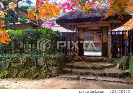 秋葉九年 123350130