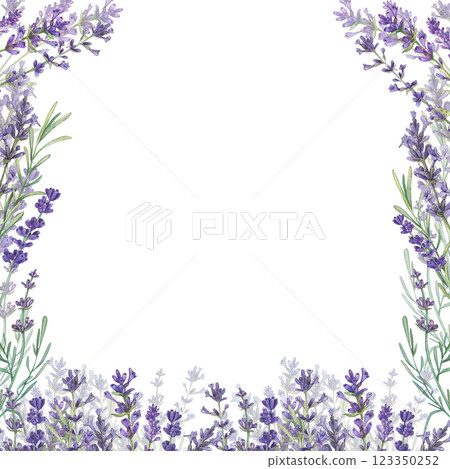 Square frame with lavender and a place for the text. Watercolor illustration of Provencal flowers. French style. Aromatherapy. Botanical illustration of flowers. Suitable for postcards, packages. 123350252