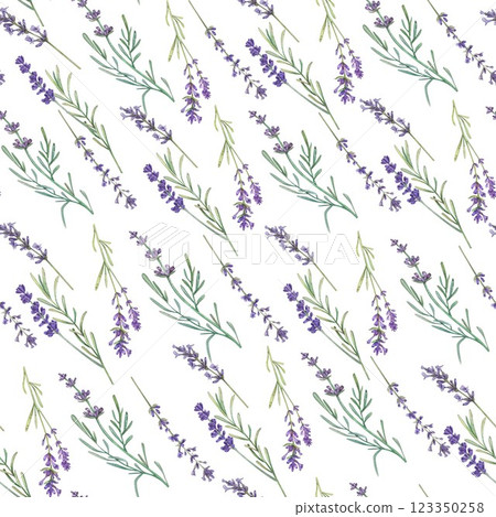 The pattern is seamless with lavender flowers on a white background. Watercolor illustration of Provence flowers. The botanical pattern. An elegant French motif. Suitable for packaging, flower shops. 123350258