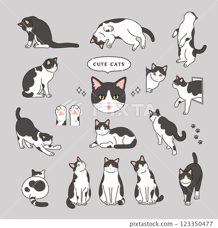 帶有線條的黑白貓插圖 帶有線條的黑白貓插圖 123350477