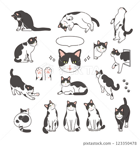 帶有線條的黑白貓插圖 帶有線條的黑白貓插圖 123350478