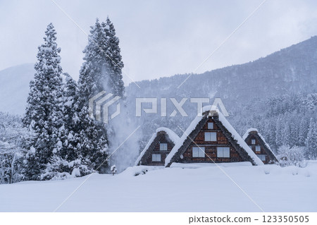 《岐阜縣》積雪的白川鄉/冬季合掌祖村 123350505