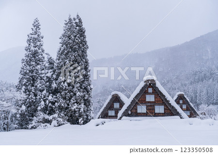 《Gifu Prefecture》 Snow-covered Shirakawa-go / winter gassho-zukuri village 123350508