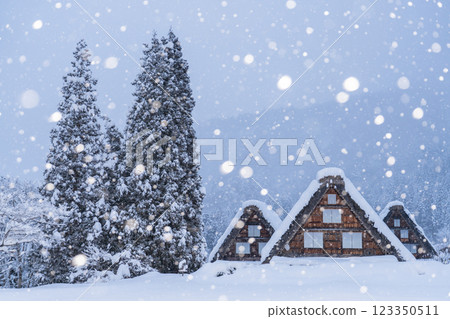 《Gifu Prefecture》 Snow-covered Shirakawa-go / winter gassho-zukuri village 《Gifu Prefecture》 Snow-covered Shirakawa-go / winter gassho-zukuri village 123350511