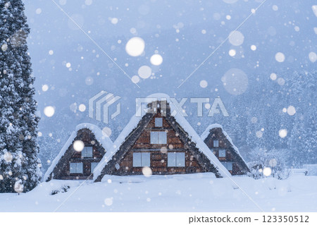 《Gifu Prefecture》 Snow-covered Shirakawa-go / winter gassho-zukuri village 123350512