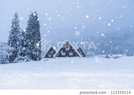 《岐阜縣》積雪的白川鄉/冬季合掌祖村 123350514