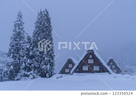 《Gifu Prefecture》 Snow-covered Shirakawa-go / winter gassho-zukuri village 《Gifu Prefecture》 Snow-covered Shirakawa-go / winter gassho-zukuri village 123350524