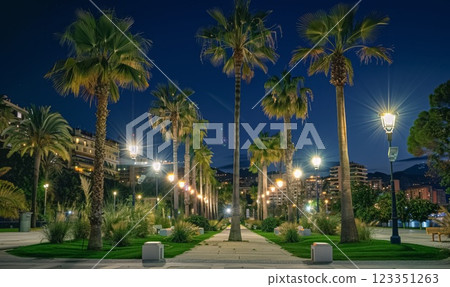 palm tree alley night at beautiful coastal town, tropical city illuminated street at evening palm tree alley night at beautiful coastal town, tropical city illuminated street at evening 123351263