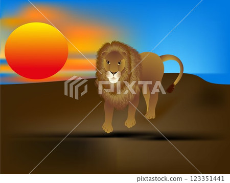 Lion at sunset. 123351441