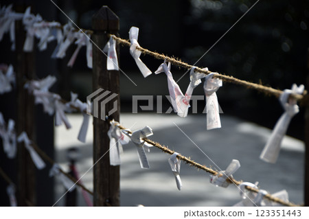 Omikuji 綁 123351443