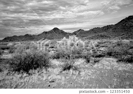 San Tan Mountains Sonora Desert Arizona in Monochrome San Tan Mountains Sonora Desert Arizona in Monochrome 123351450