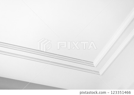 Minimalist White Ceiling Design with Elegant Architectural Molding Minimalist White Ceiling Design with Elegant Architectural Molding 123351466