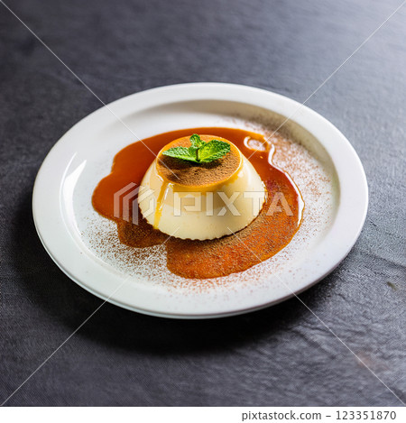 Elegant Panna Cotta with Caramel Drizzle 123351870