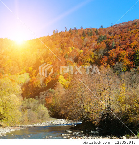 A mountain river with a fast flow, an autumn forest. Carpathian Mountains, Ukraine. A mountain river with a fast flow, an autumn forest. Carpathian Mountains, Ukraine. 123352913