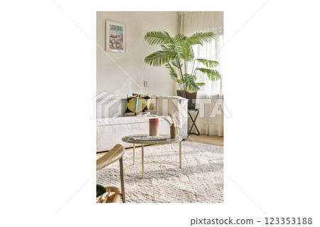 A stylish living room featuring a cozy sofa, potted plant, elegant coffee table, and ample natural light creating a warm atmosphere. 123353188