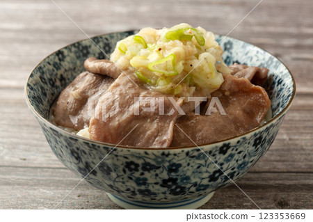 Pork tongue rice bowl with salt and green onion Pork tongue rice bowl with salt and green onion 123353669
