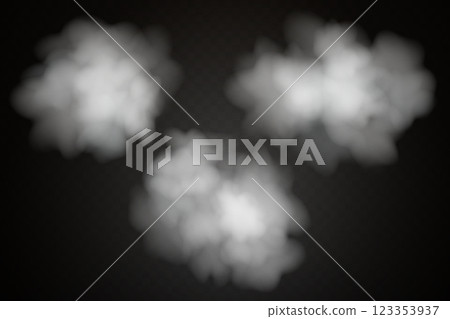 Smoke effect background. Realistic decorative fog in the air, vapor, creeping smoke puff. Layout of cloudy smog. Transparency vector illustration Smoke effect background. Realistic decorative fog in the air, vapor, creeping smoke puff. Layout of cloudy smog. Transparency vector illustration 123353937