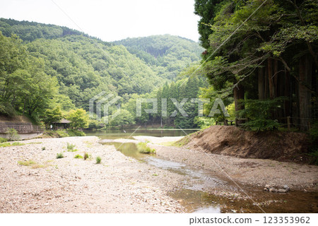 大分市 大分縣立森林 123353962