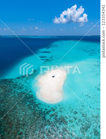 Sandbank experience with picnic in Gaafu Dhaalu Atoll Maguhdhuvaa Island, Maldives 123354342