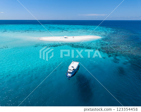 Sandbank experience with picnic in Gaafu Dhaalu Atoll Maguhdhuvaa Island, Maldives 123354458