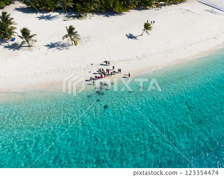 View of Stingrays on the beach in Fulidhoo island, Maldives View of Stingrays on the beach in Fulidhoo island, Maldives 123354474