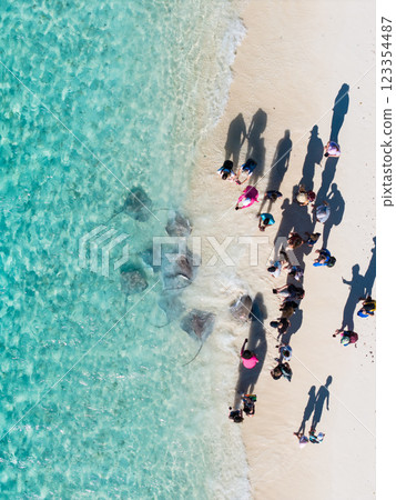 View of Stingrays on the beach in Fulidhoo island, Maldives View of Stingrays on the beach in Fulidhoo island, Maldives 123354487