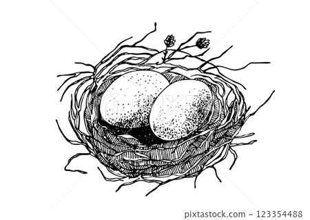 Bird nest with eggs. Easter hand drawn vector illustration, template design 123354488