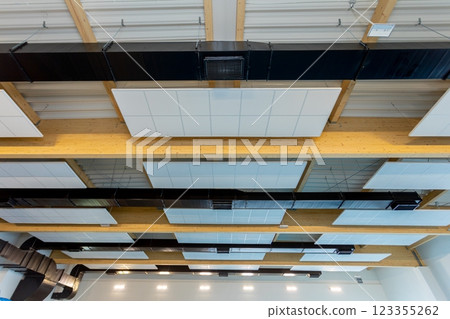 Contemporary Ceiling Design with Panels Reflecting Modern Architectural Principles Contemporary Ceiling Design with Panels Reflecting Modern Architectural Principles 123355262