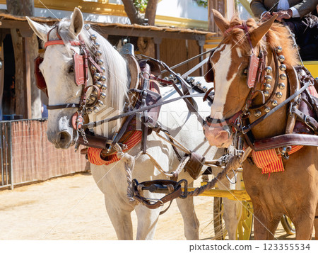 Elegant Horses Adorned for Jerez Fair Celebration 123355534