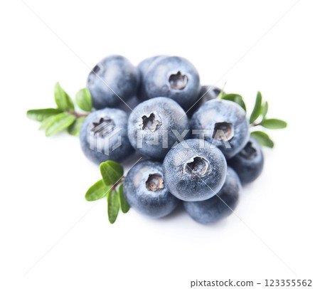 Blueberries with leaves on white backgrounds Blueberries with leaves on white backgrounds 123355562