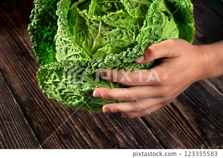 Hands holding savoy cabbage head over dark wooden boards table Hands holding savoy cabbage head over dark wooden boards table 123355583