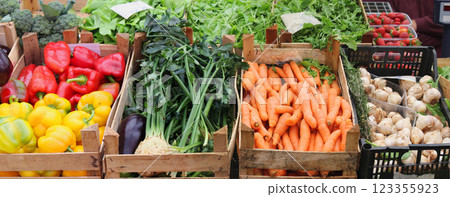 Fresh vegetables in market crates 123355923