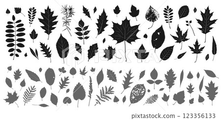silhouette leaves set autumn background ,isolated vector design elements silhouette leaves set autumn background ,isolated vector design elements 123356133