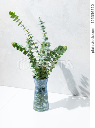 Blue glass vase with eucalyptus branches on light concrete background with sunlight. Blue glass vase with eucalyptus branches on light concrete background with sunlight. 123356310