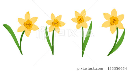 Stylized yellow daffodils with a textured effect 123356654