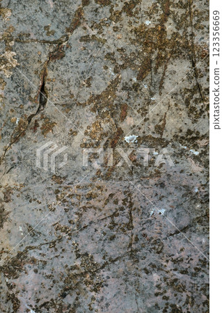 Weathered rock surface with moss and cracks on a fragment of a coastal Mediterranean cliff Weathered rock surface with moss and cracks on a fragment of a coastal Mediterranean cliff 123356669